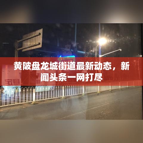 黃陂盤龍城街道最新動(dòng)態(tài)，新聞?lì)^條一網(wǎng)打盡