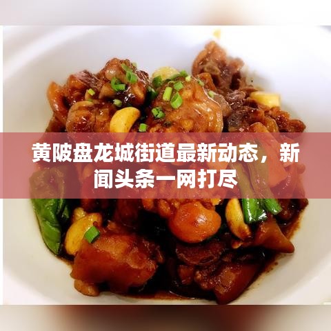 黃陂盤龍城街道最新動態,新聞頭條一網打盡