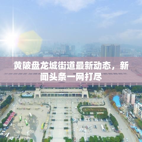 黃陂盤龍城街道最新動態,新聞頭條一網打盡