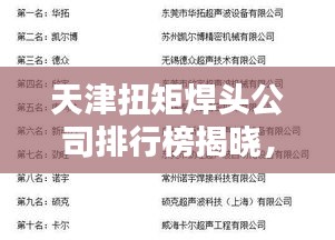 天津扭矩焊頭公司排行榜揭曉,行業內領先企業的榮譽榜單