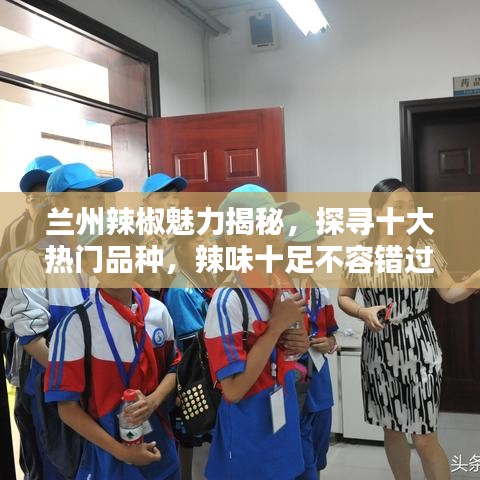 蘭州辣椒魅力揭秘,探尋十大熱門品種,辣味十足不容錯(cuò)過(guò)