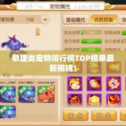 敏捷類寵物排行榜TOP榜單最新揭曉！