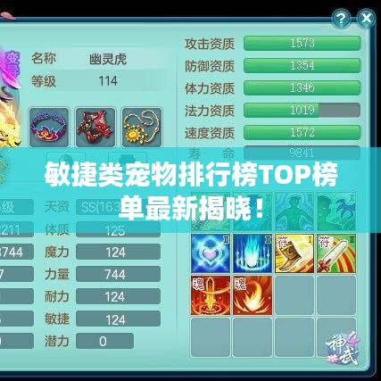 敏捷類寵物排行榜TOP榜單最新揭曉!