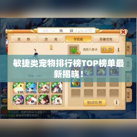 敏捷類寵物排行榜TOP榜單最新揭曉!