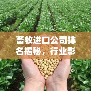 畜牧進口公司排名揭秘,行業影響力深度解析