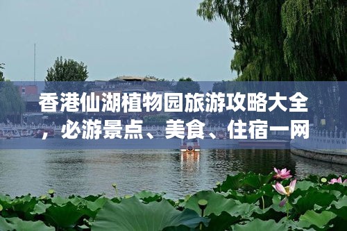 香港仙湖植物園旅游攻略大全,必游景點、美食、住宿一網打盡!
