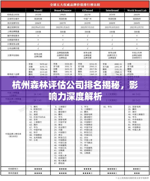 杭州森林評估公司排名揭秘，影響力深度解析