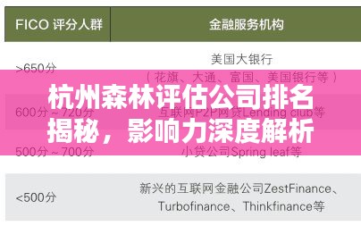 杭州森林評估公司排名揭秘,影響力深度解析