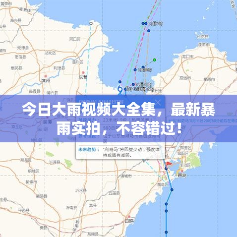 今日大雨視頻大全集,最新暴雨實拍,不容錯過!