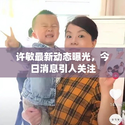 許敏最新動(dòng)態(tài)曝光,今日消息引人關(guān)注