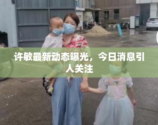 許敏最新動(dòng)態(tài)曝光,今日消息引人關(guān)注