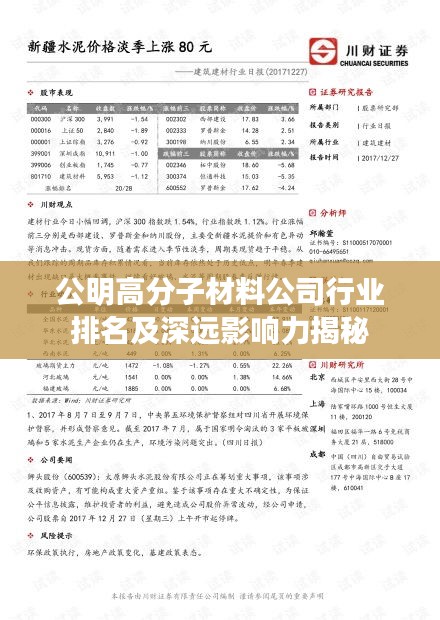 公明高分子材料公司行業排名及深遠影響力揭秘