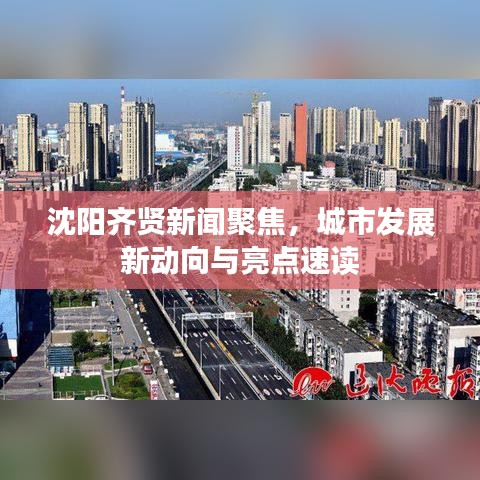 沈陽齊賢新聞聚焦，城市發展新動向與亮點速讀