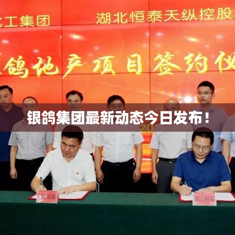 銀鴿集團最新動態(tài)今日發(fā)布!