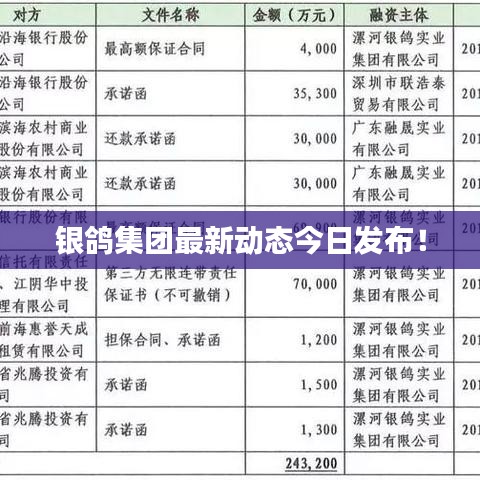 銀鴿集團最新動態(tài)今日發(fā)布!