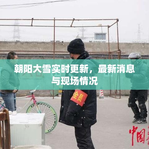 朝陽大雪實時更新,最新消息與現場情況