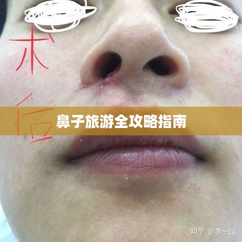 鼻子旅游全攻略指南