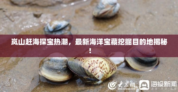 嵐山趕海探寶熱潮,最新海洋寶藏挖掘目的地揭秘!