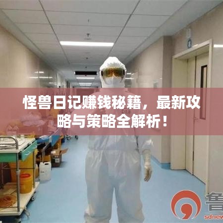 怪獸日記賺錢秘籍,最新攻略與策略全解析!