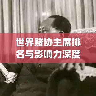 飛揚(yáng)撥扈 第3頁(yè)