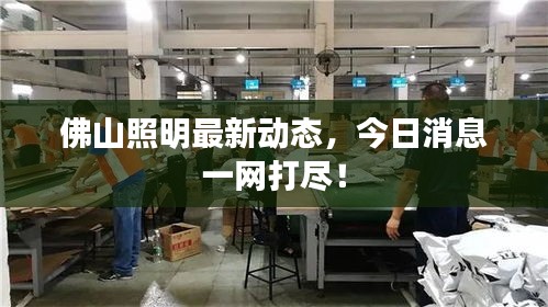 佛山照明最新動態(tài),今日消息一網(wǎng)打盡!