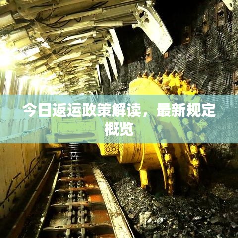 今日返運政策解讀,最新規(guī)定概覽