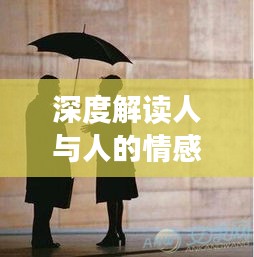 深度解讀人與人的情感連接,心心相照的魅力