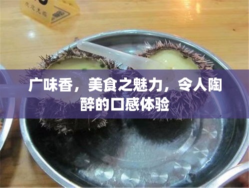 廣味香,美食之魅力,令人陶醉的口感體驗