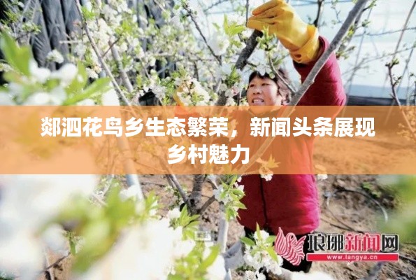 郯泗花鳥鄉生態繁榮,新聞頭條展現鄉村魅力