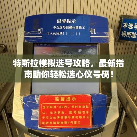 特斯拉模擬選號攻略,最新指南助你輕松選心儀號碼!