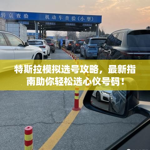 特斯拉模擬選號攻略,最新指南助你輕松選心儀號碼!