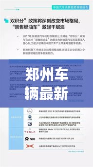 鄭州車輛最新報告揭秘,今日交通狀況全面解析