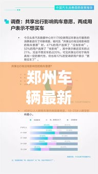 鄭州車輛最新報告揭秘,今日交通狀況全面解析