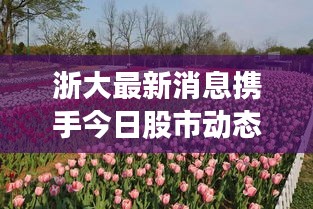 浙大最新消息攜手今日股市動態(tài),一網(wǎng)打盡,不容錯過