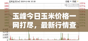 玉峰今日玉米價(jià)格一網(wǎng)打盡,最新行情查詢