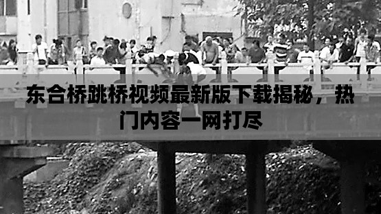 東合橋跳橋視頻最新版下載揭秘,熱門內容一網打盡