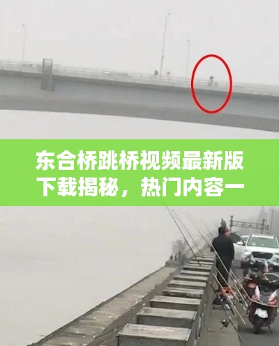 東合橋跳橋視頻最新版下載揭秘,熱門內(nèi)容一網(wǎng)打盡
