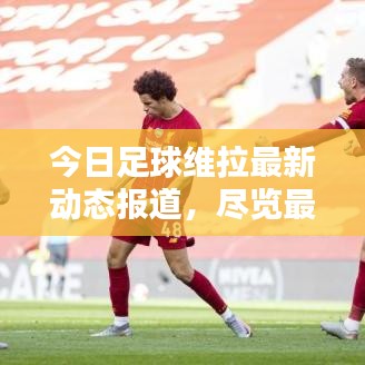 今日足球維拉最新動(dòng)態(tài)報(bào)道,盡覽最新消息