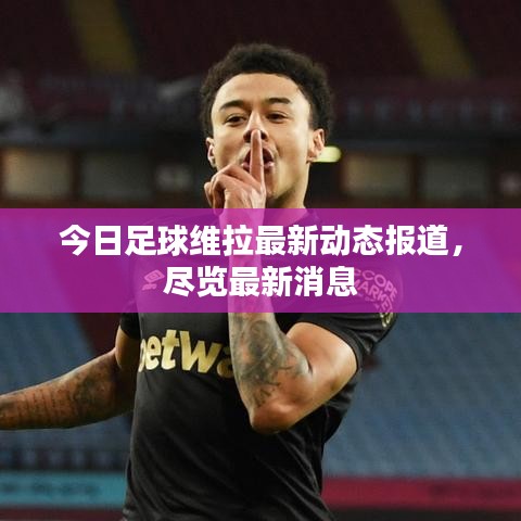 今日足球維拉最新動(dòng)態(tài)報(bào)道,盡覽最新消息