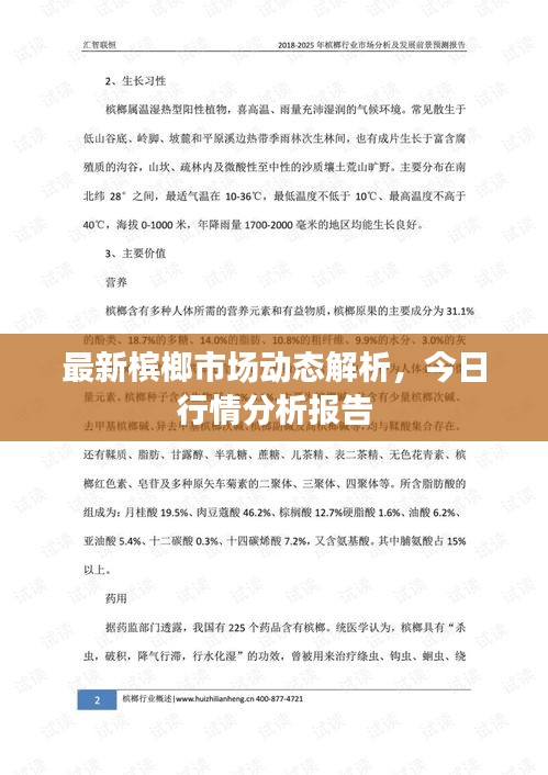 最新檳榔市場動態解析,今日行情分析報告