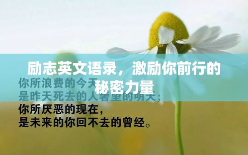 勵志英文語錄,激勵你前行的秘密力量