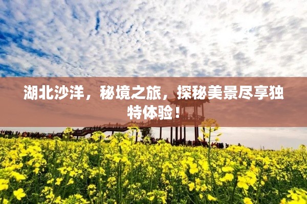 湖北沙洋,秘境之旅,探秘美景盡享獨(dú)特體驗(yàn)!