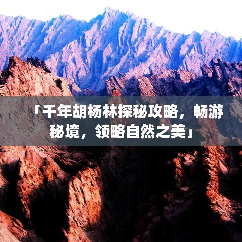 「千年胡楊林探秘攻略,暢游秘境,領(lǐng)略自然之美」