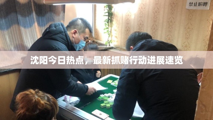 沈陽今日熱點(diǎn),最新抓賭行動(dòng)進(jìn)展速覽