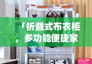 「折疊式布衣柜,多功能便捷家居,時(shí)尚之選,百度熱推!」