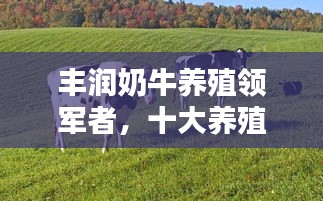 豐潤奶牛養殖領軍者,十大養殖企業榮耀上榜
