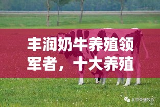 豐潤奶牛養殖領軍者,十大養殖企業榮耀上榜