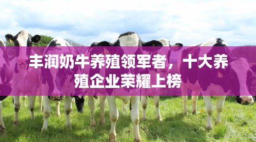 豐潤奶牛養殖領軍者,十大養殖企業榮耀上榜