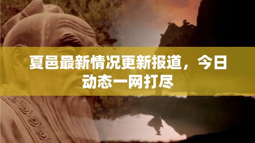 夏邑最新情況更新報道,今日動態一網打盡