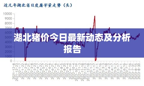 湖北豬價今日最新動態(tài)及分析報告